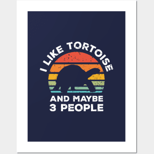 I Like Tortoise and Maybe 3 People, Retro Vintage Sunset with Style Old Grainy Grunge Texture Posters and Art